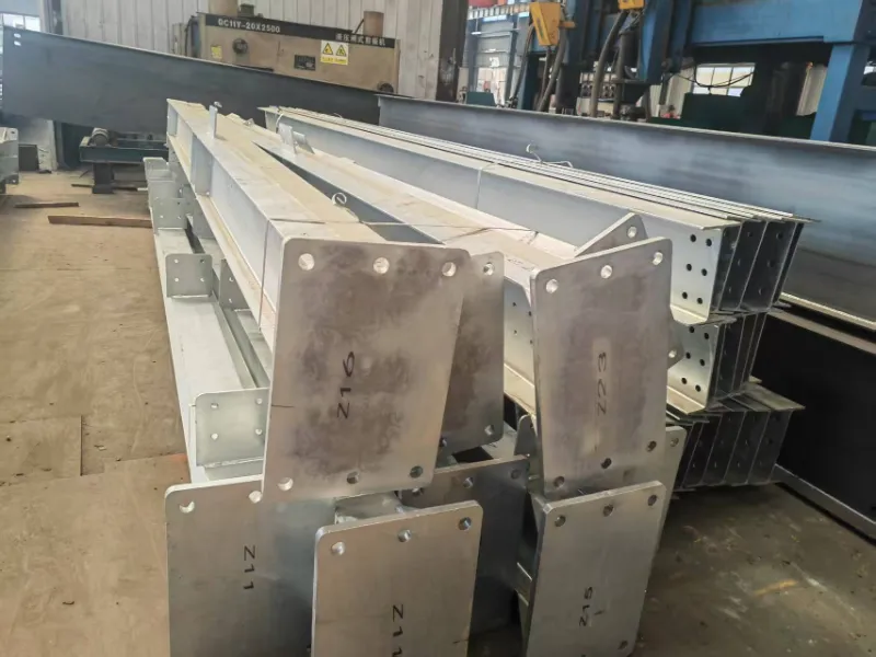 Notizie sulla spedizione di magazzini di strutture in acciaio in Argentina