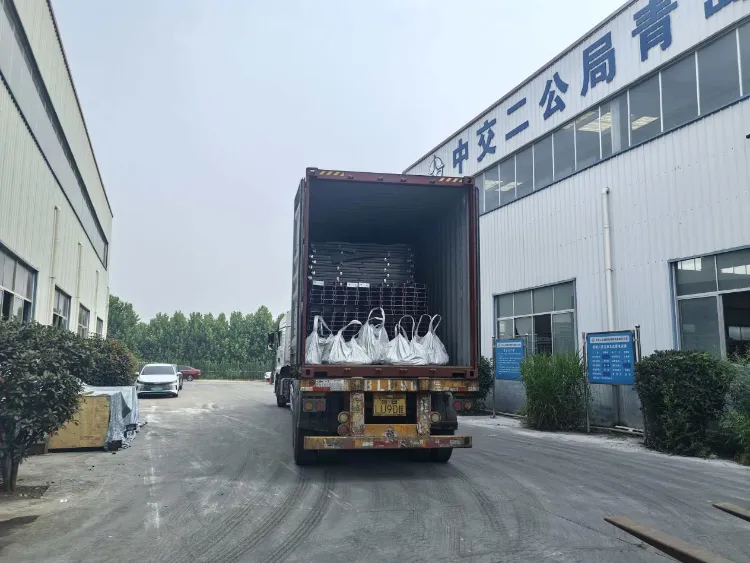 Qingdao Liweiyuan Steel Structure fornisce componenti in acciaio personalizzati per allevamenti ittici a un cliente islandese